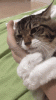 https__vk_com_vinevinevine.gif