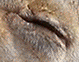 upload_2023-4-11_0-1-52.png