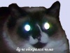 o0rQSJ4YMZA.jpg