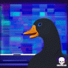 127593.gif