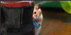 upload_2023-5-30_2-12-30.png