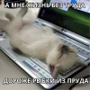 upload_2023-6-27_15-11-30.png