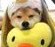 upload_2023-7-17_4-39-16.png