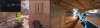 upload_2024-6-6_15-2-55.png
