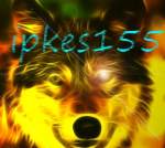 ipkes155