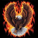 FireEagle