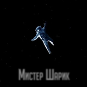 МистерШарик