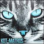 KOT MATROS