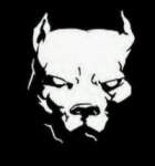 pitbulls