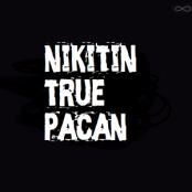 nikitin4592