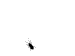 dima2408