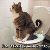 Косолапый мишка