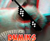 dnmiks
