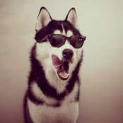 aker