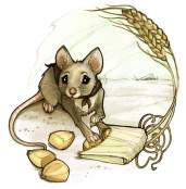Frisby