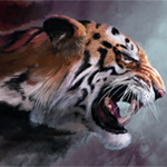 DarkFury