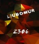 liu2306