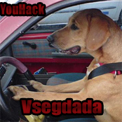 Vsegdada