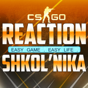 ReactionShkolni