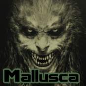 Mallusca