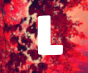 lucasfoster