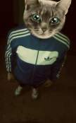 mLER