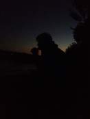 Evlring