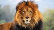 Asthal