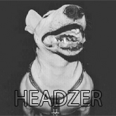 HeadZER