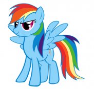 Rainbow Dash 1337