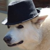 delapex