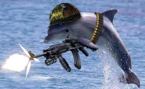 Dolphin2033