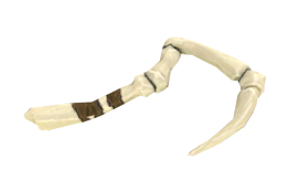 nklbit