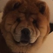 cm✪n