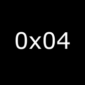 0x04