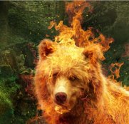 burningbear