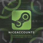 NiceAccounts