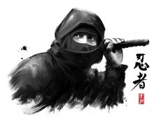 Shinobi3