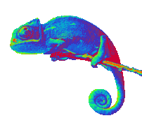 -CHAMELEON-