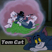 Tom Cat