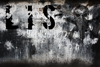 lislislis