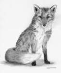 GreyFox