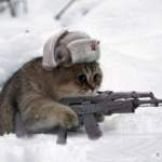 thepavlik