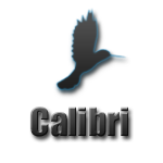 Calibri