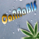 CaNNaBIS_OLD_