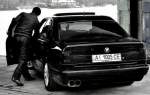 lavid
