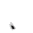 dima2408