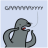 Raccoon20