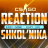 ReactionShkolni