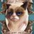 Sad Cat